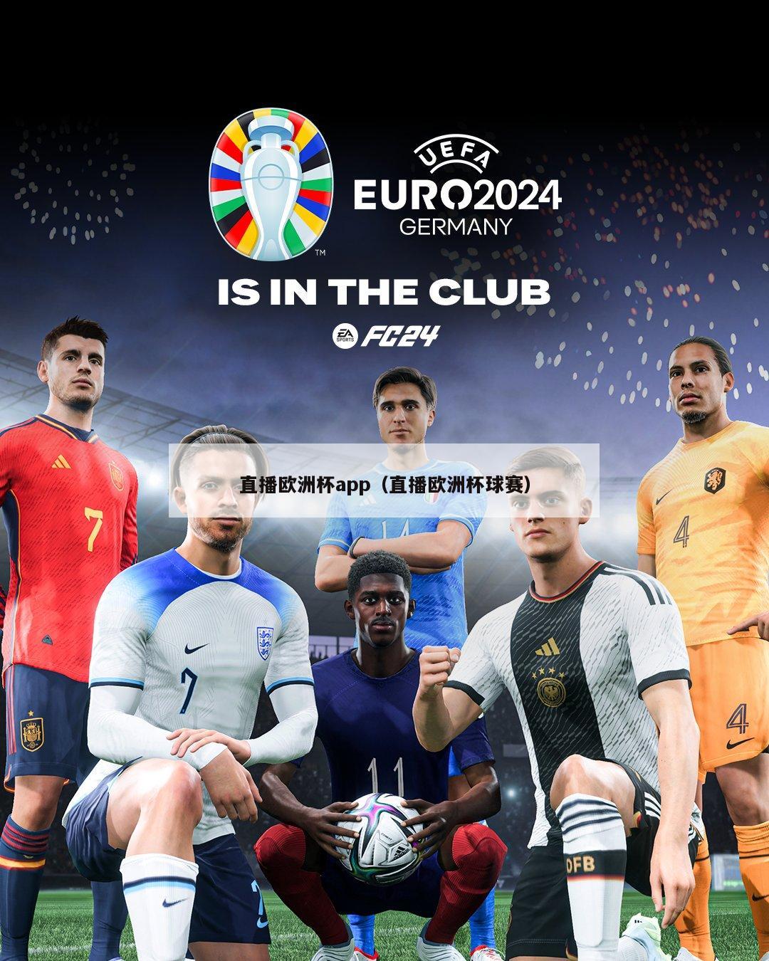 直播欧洲杯app（直播欧洲杯球赛）